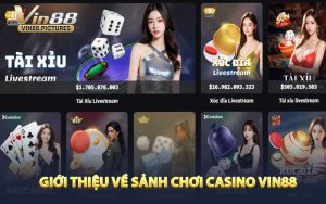 Giới Thiệu Về Sảnh Chơi Casino VIN88