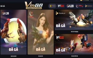 Tổng Quát Về Đá Gà VIN88