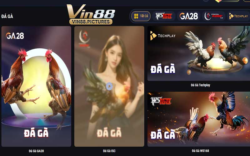 Tổng Quát Về Đá Gà VIN88