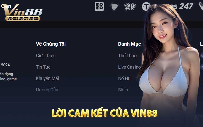 Lời Cam Kết Của VIN88 Dành Cho Người Dùng