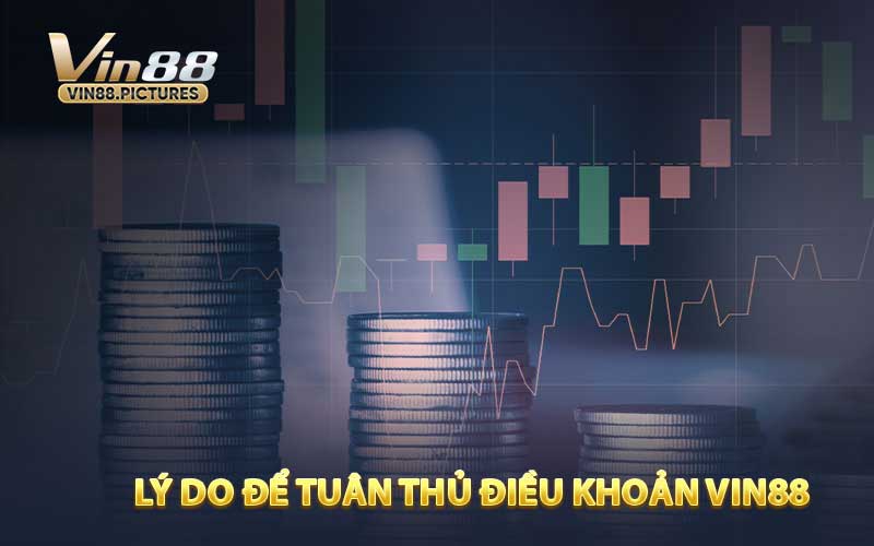 Lý do để tuân thủ điều khoản VIN88