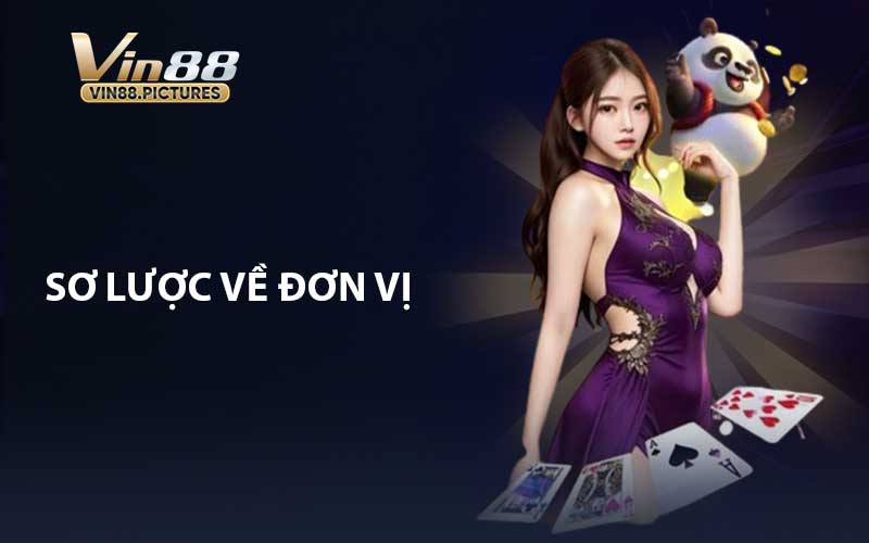 Sơ lược về đơn vị VIN88